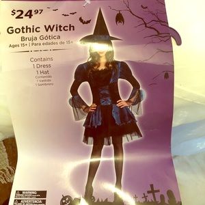 Woman’s Gothic Witch Costume size 8-10